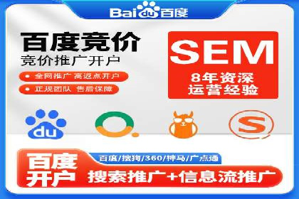 某电商平台的SEM推广策略全解析